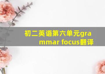 初二英语第六单元grammar focus翻译